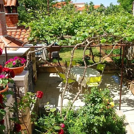 Ivan 41 * Pula