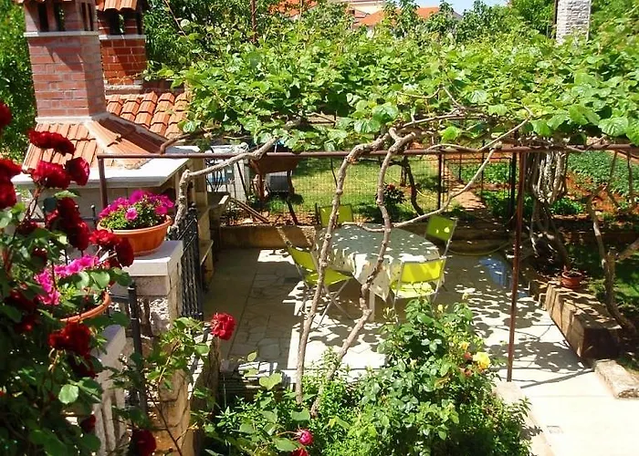 Ivan 41 * Pula